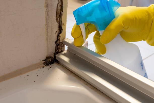 Certified Mold Removal in Merrick, NY