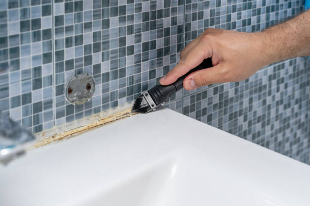 Best Mold Testing  in Merrick, NY