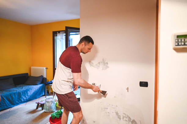 Best Crawl Space Mold Removal  in Merrick, NY